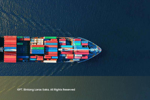 artikel1-bintanglarassaka