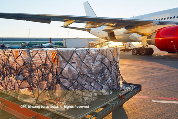 artikel2-bintanglarassaka